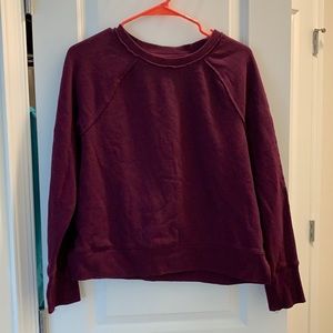 calvin klein crewneck